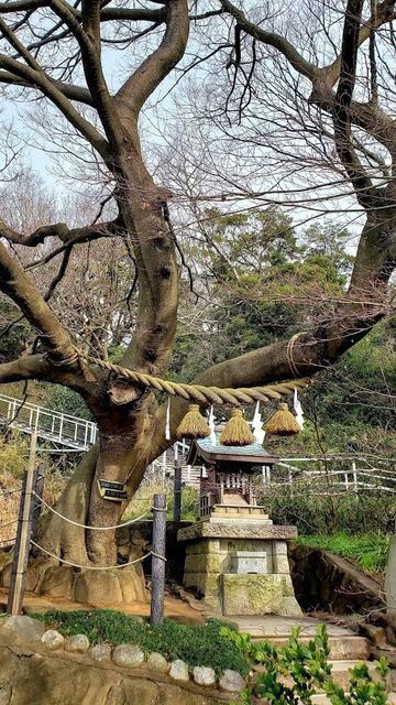 本牧神社
