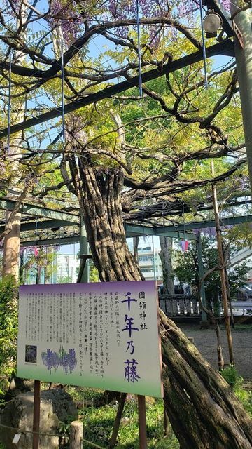 國領神社