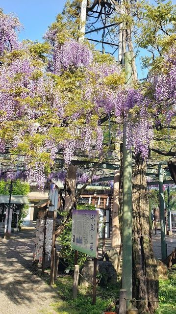 國領神社