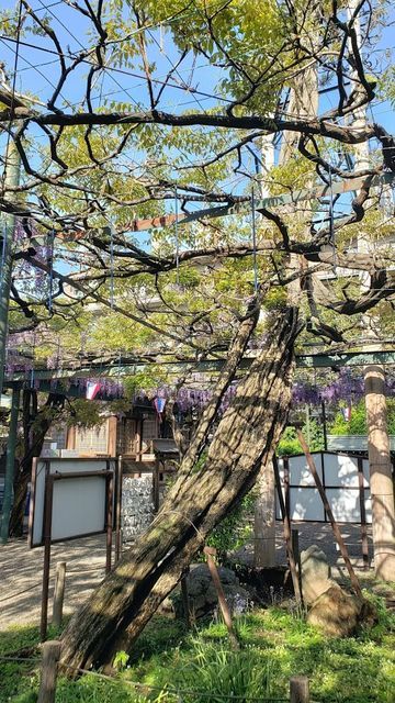 國領神社