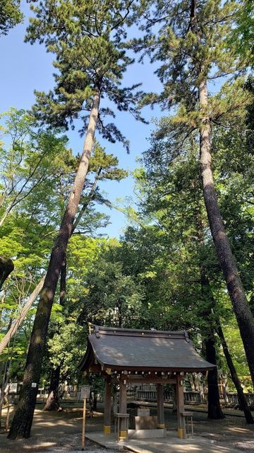 布多天神社