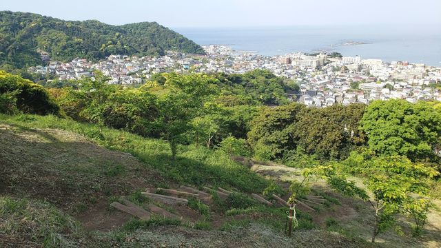 仙元山