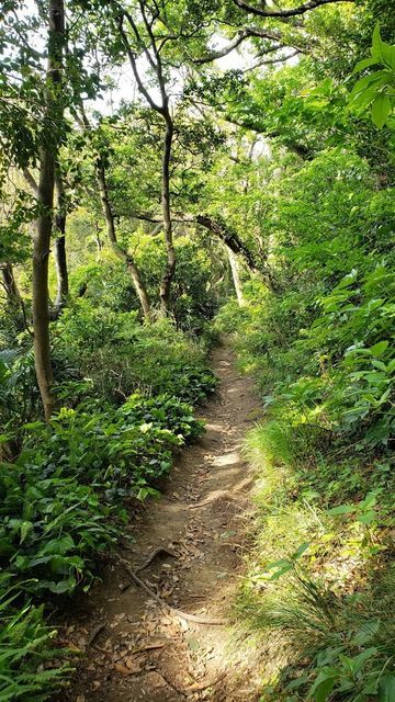仙元山