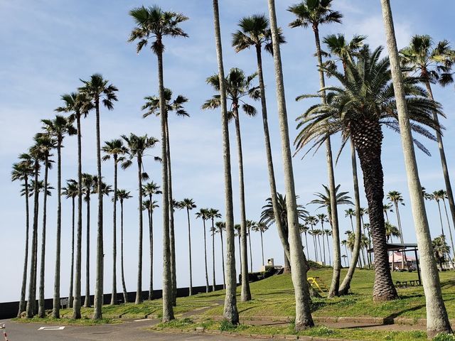 小坪海浜公園
