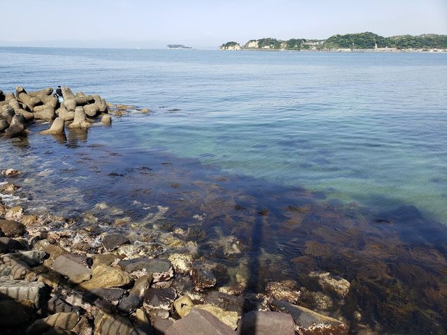 小坪飯島公園