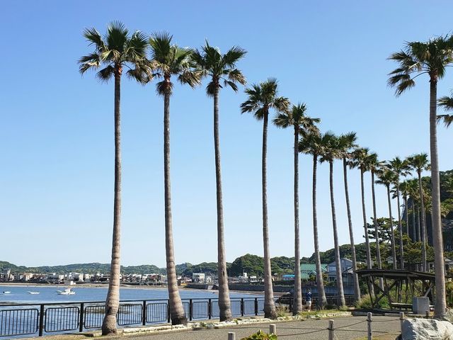 小坪飯島公園