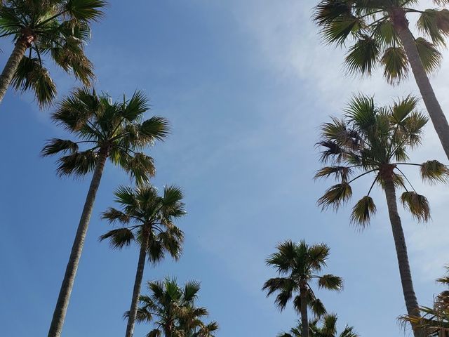 小坪海浜公園