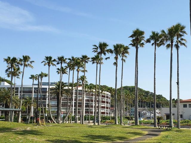 小坪海浜公園