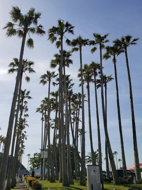小坪海浜公園
