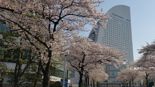 みなとみらい