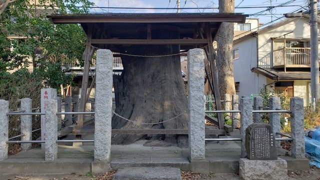丸子山王日枝神社