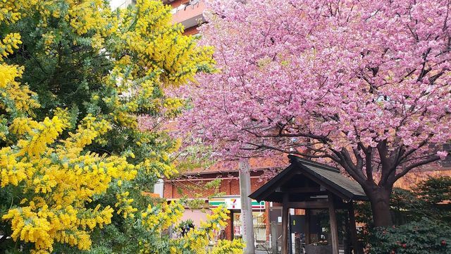 蔵前神社