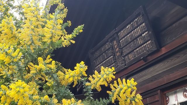 蔵前神社