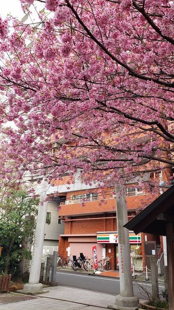 蔵前神社