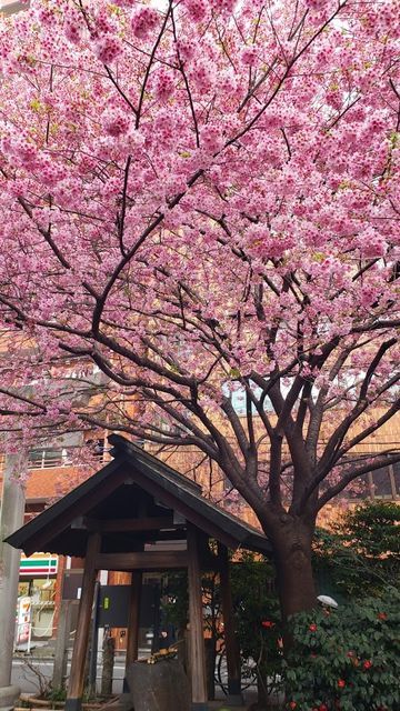 蔵前神社