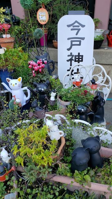今戸神社