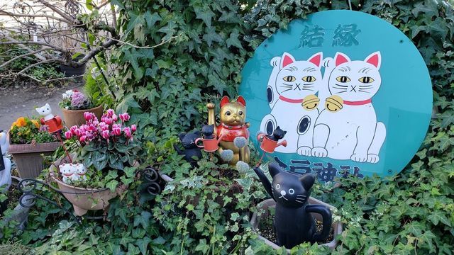 東京　今戸神社　招き猫 白猫に会うと幸せが訪れる！？ 招き猫発祥のひとつ、浅草「今戸