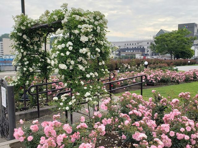 ヴェルニー公園