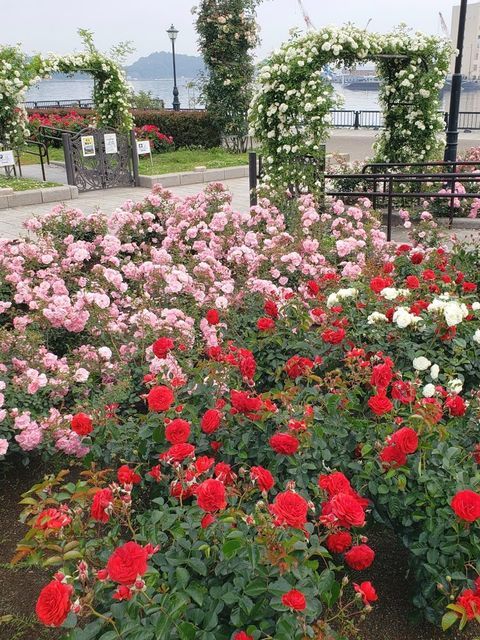 ヴェルニー公園