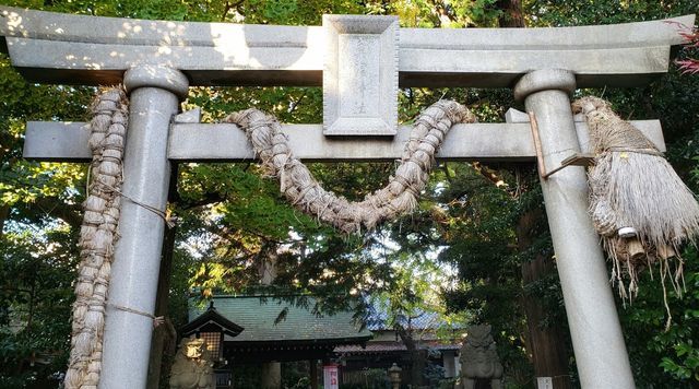 神谷奥学級参観記 参政党千葉県支部連合会(公認) 🟠🌸 on X: 