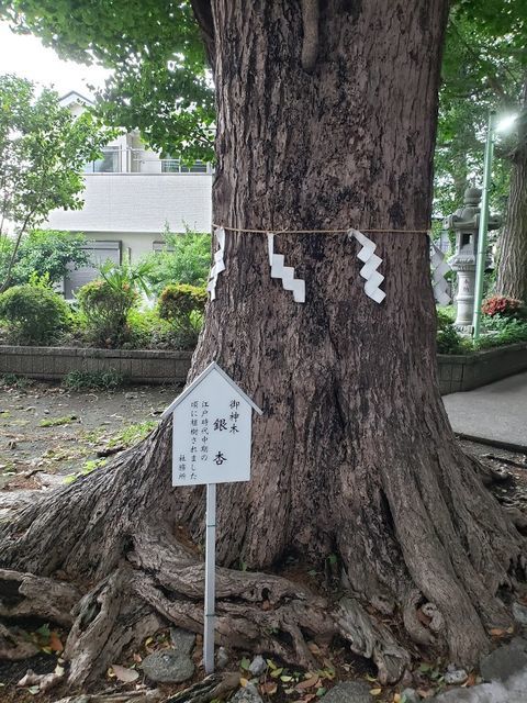 五社神社
