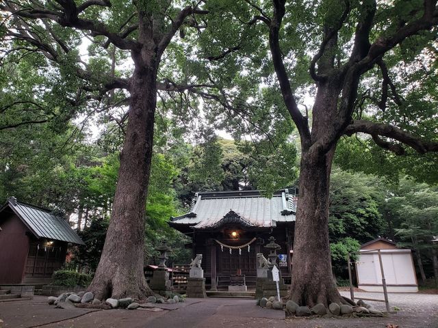 五社神社