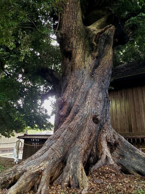 五社神社