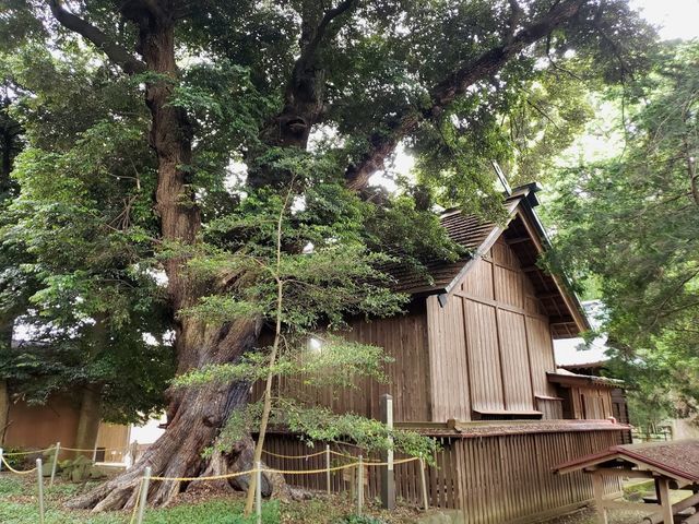 五社神社