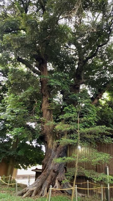 五社神社
