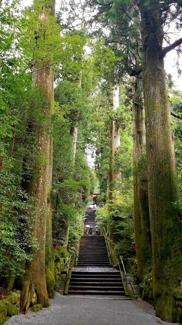 箱根神社