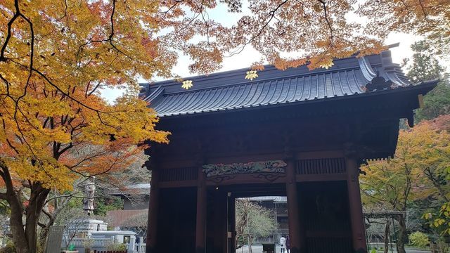 妙本寺