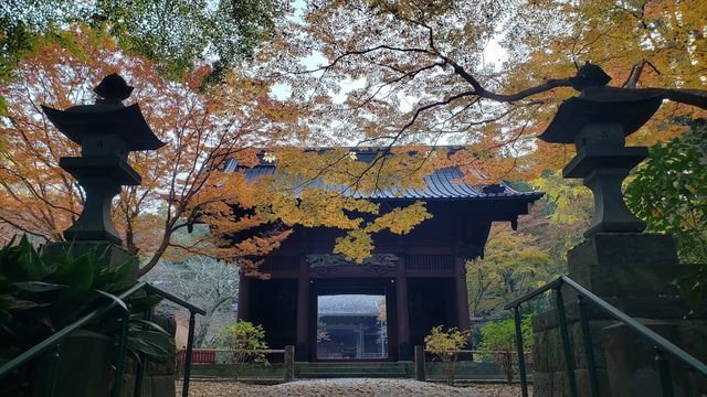 妙本寺