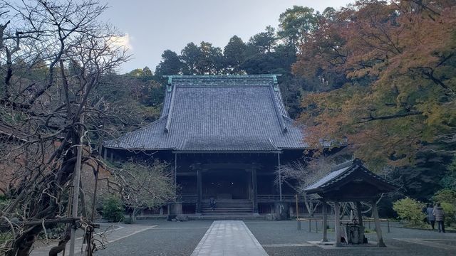 妙本寺