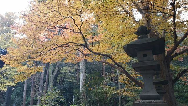 妙本寺