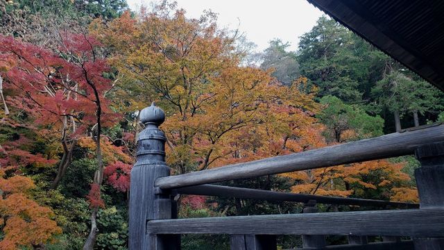 妙本寺