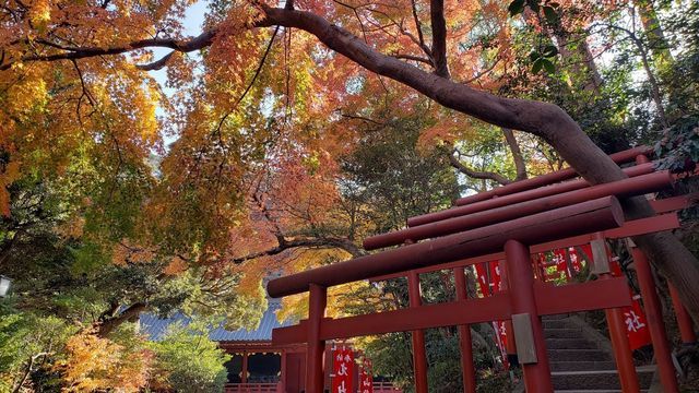 鶴岡八幡宮