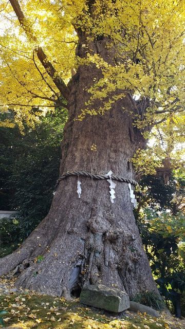 荏柄天神社