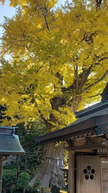 荏柄天神社