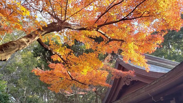 鎌倉宮