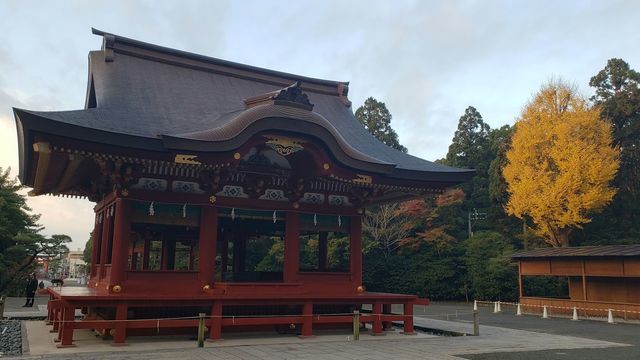 鶴岡八幡宮