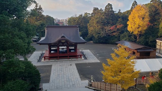 鶴岡八幡宮