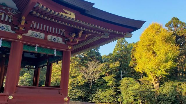 鶴岡八幡宮