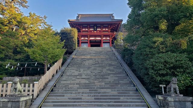 鶴岡八幡宮