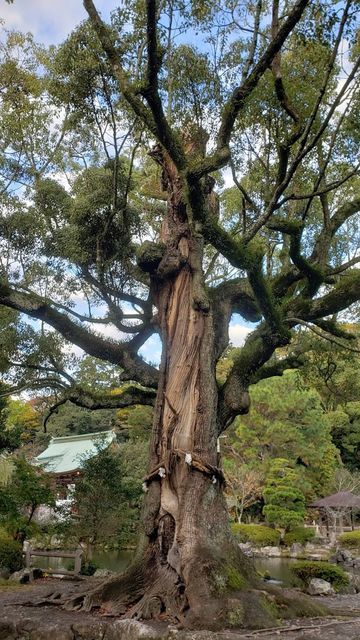 静岡浅間神社