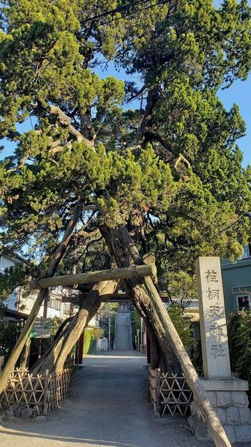 荏柄天神社