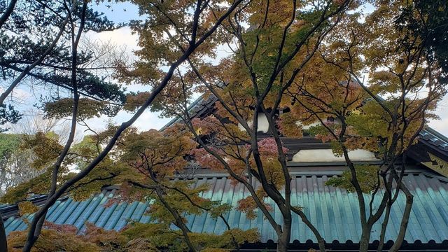 妙本寺
