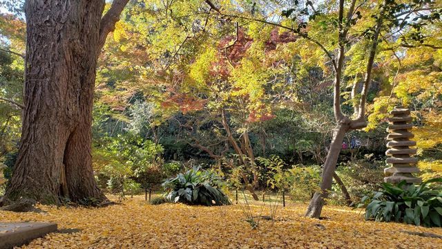 三渓園