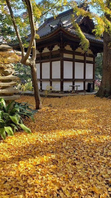 三渓園