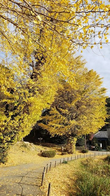 称名寺