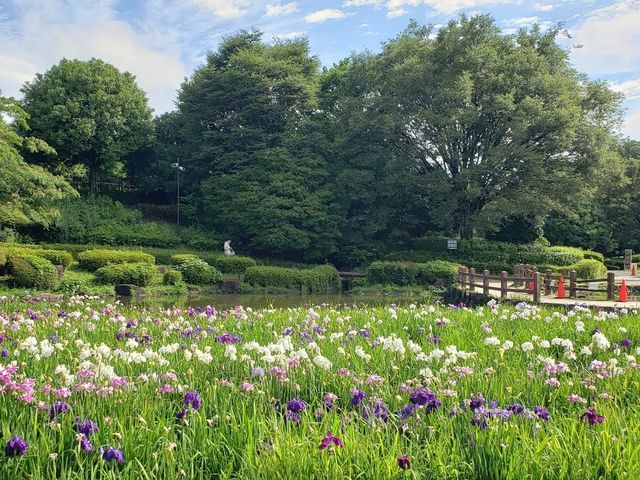 相模原公園